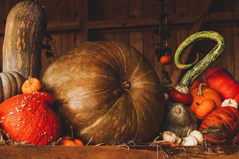 Autumn Harvest